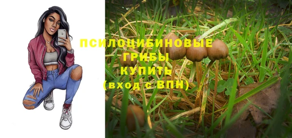 не бодяженный Богородицк