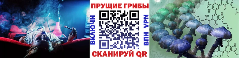Галлюциногенные грибы прущие грибы  Хотьково 